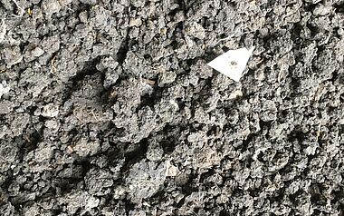 Bodenstruktur mit sichtbaren Aggregaten und organischem Material.