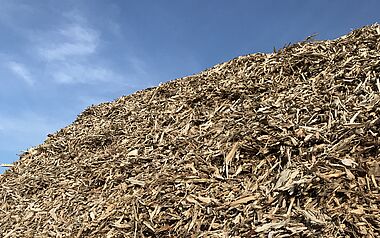 Holzspäne bedecken eine Oberfläche, möglicherweise für Mulch oder Tierstall.